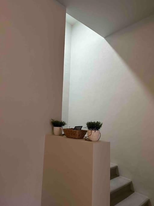 Casa Privada En Villa Bricia Cuernavaca Exterior photo